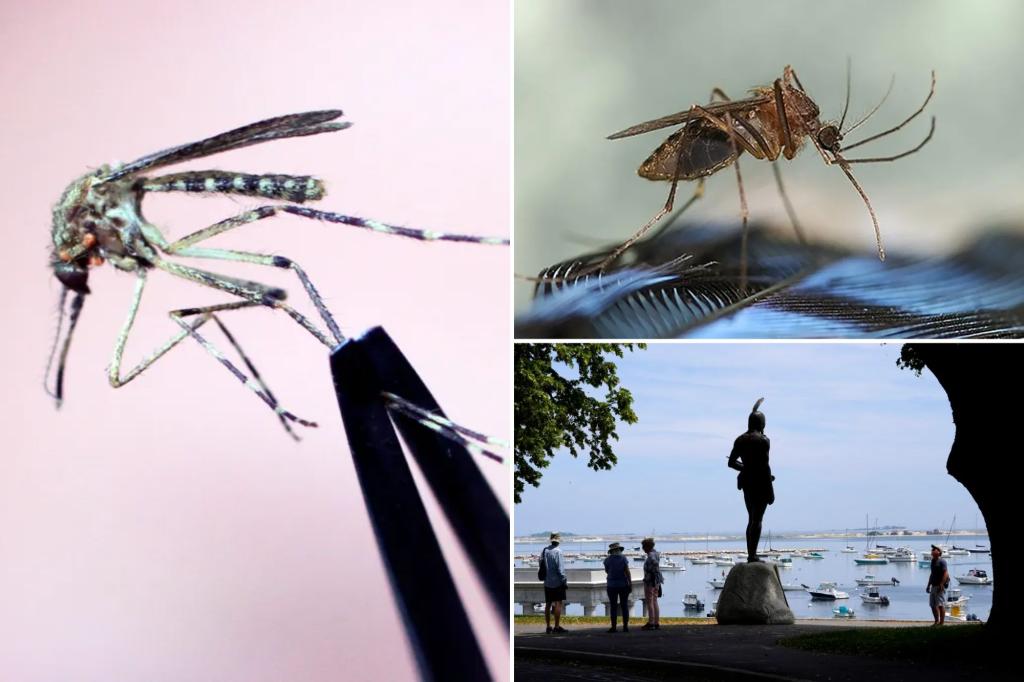 New Hampshire man dies after testing positive for mosquito-borne encephalitis virus